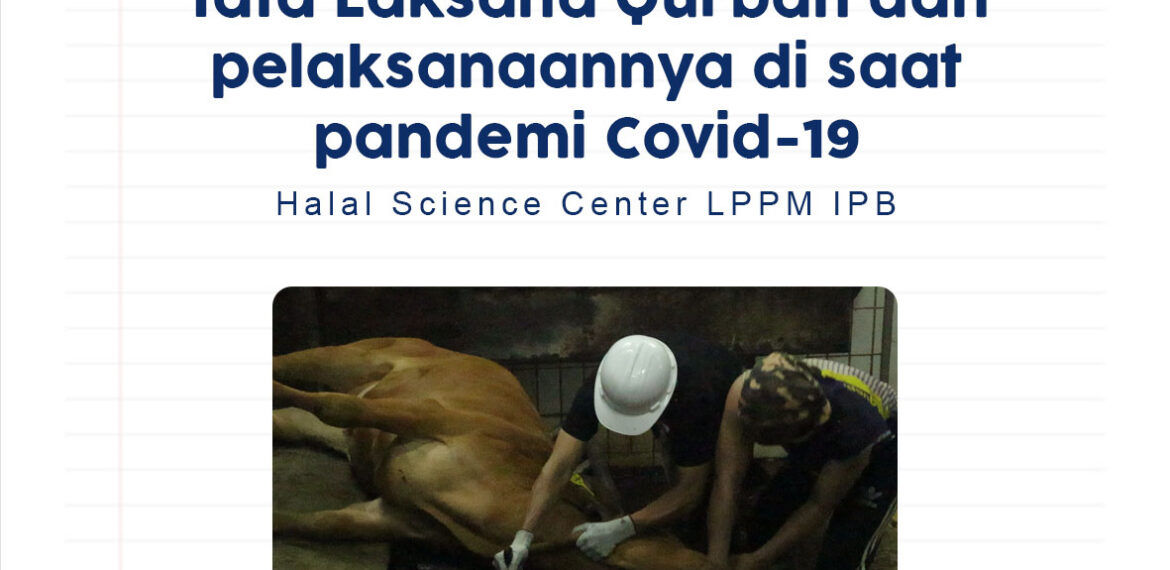 kurban cover