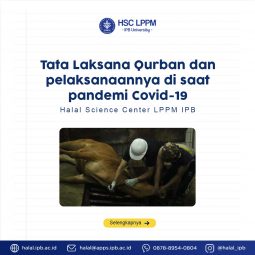 Tata Laksana Qurban dan Pelaksanaannya saat Pandemi Covid-19