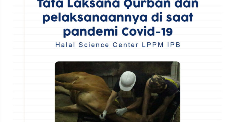 kurban cover