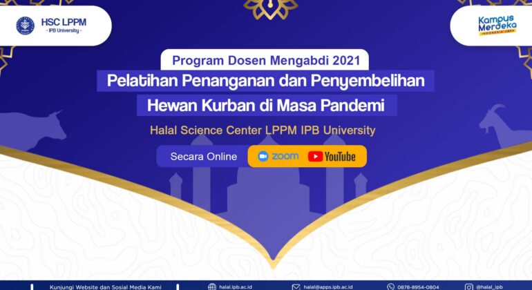 ppt webinar